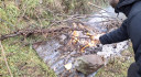Filename=1_282429-3456x1900.jpg
Filesize=740KiB
Dimensions=2048x1125
Date added=Feb 10, 2026 1_282429-3456x1900.jpg