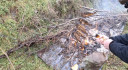 Filename=1_282529-3456x1910.jpg
Filesize=834KiB
Dimensions=2048x1131
Date added=Feb 10, 2026 1_282529-3456x1910.jpg