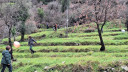 Filename=1_28529-3264x1836.jpg
Filesize=1222KiB
Dimensions=2048x1152
Date added=Feb 10, 2026 1_28529-3264x1836.jpg