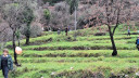 Filename=1_28629-3264x1836.jpg
Filesize=1223KiB
Dimensions=2048x1152
Date added=Feb 10, 2026 1_28629-3264x1836.jpg