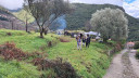 Filename=1_28729-3264x1836.jpg
Filesize=1283KiB
Dimensions=2048x1152
Date added=Feb 10, 2026 1_28729-3264x1836.jpg