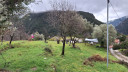 Filename=20260208_112222.jpg
Filesize=855KiB
Dimensions=2048x1152
Date added=Feb 10, 2026 20260208_112222.jpg