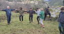 Filename=2_28229.jpg
Filesize=441KiB
Dimensions=1080x584
Date added=Feb 10, 2026 2_28229.jpg